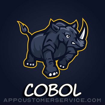 Learn Cobol Programming 2022 Customer Service