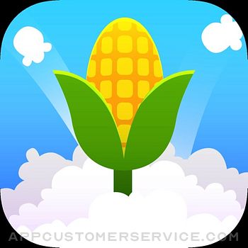 Pop the Corn ASMR Customer Service