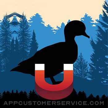 Wood Duck Magnet - Duck Calls Customer Service