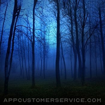 Forest Night Sleep Sounds Customer Service
