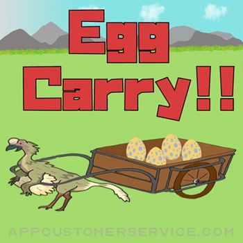 EggCarry!! Customer Service