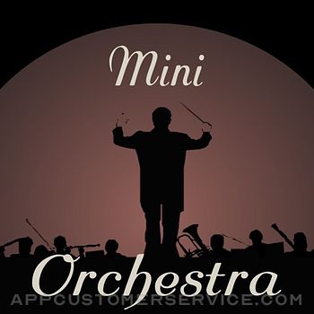 Mini Orchestra Customer Service