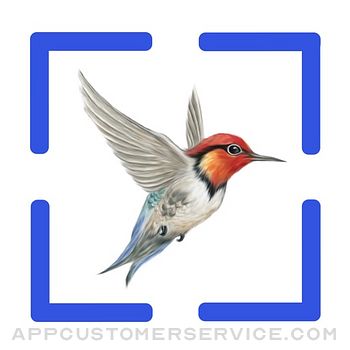Bird Call Identification Customer Service
