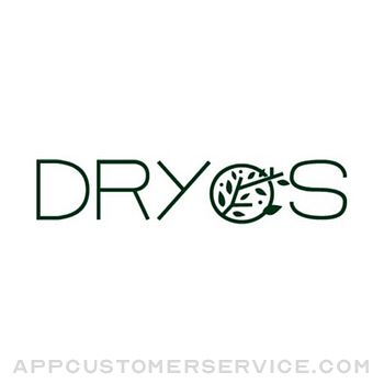 DRYOS ESTRATEGIA Customer Service