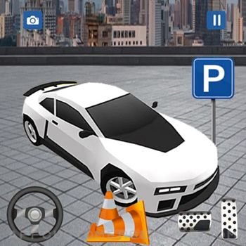 Real Car Parking Driving Game Customer Service