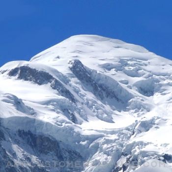 Mont Blanc Compass Customer Service