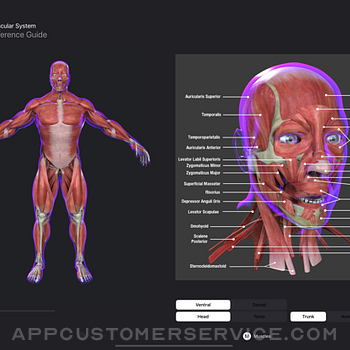 Anatomy Reference Guide ipad image 1