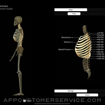 Anatomy Reference Guide ipad image 2