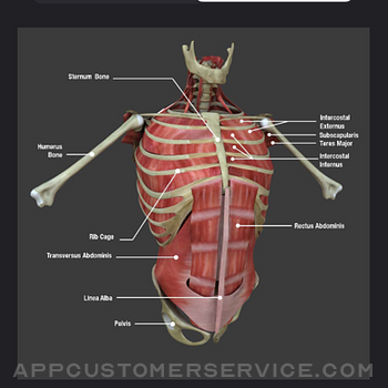 Anatomy Reference Guide iphone image 1