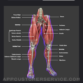 Anatomy Reference Guide iphone image 4