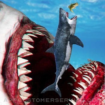 Angry Megalodon Shark Fish Customer Service