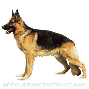 Learn About Dog Breeds Customer Service