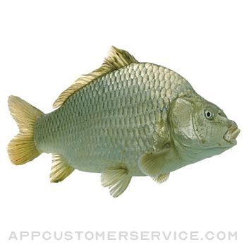 Types of Fish Customer Service