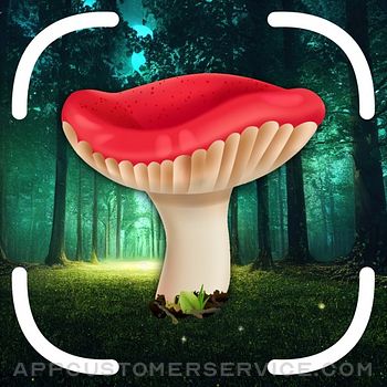 Mushroom Identifier App: Fungi Customer Service