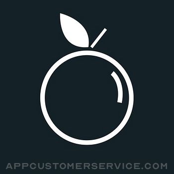 Blue Apple Workplace Catering Customer Service