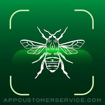 Insect Bug Identifier: Spider Customer Service