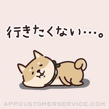 Shiba Inu's relaxed sticker Customer Service