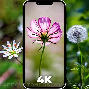 Flower Wallpapers 4K - HD Customer Service