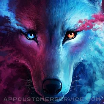 Animal Wallpaper Black Wolf 4K Customer Service