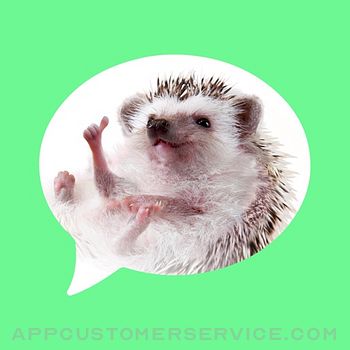 Message stickers : hedgehog Customer Service