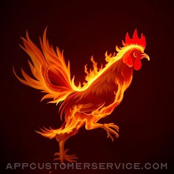 Download Chicken App: Files Transfer App