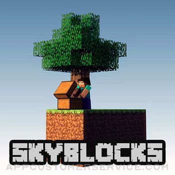 Skyblock Modpack Customer Service
