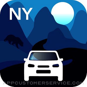 Download New York Traffic Cameras App