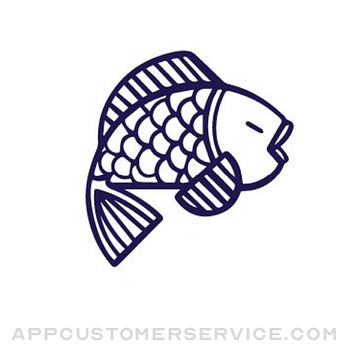 Belly Fish Official Customer Service