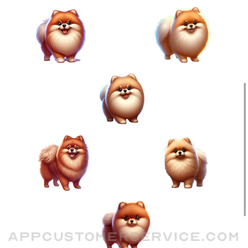 Pomeranian Stickers iphone image 2