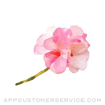 Watercolor Flower Sticker Customer Service