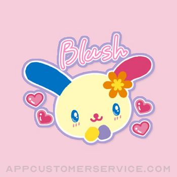 Cute Rabbit Girly Stickers Customer Service