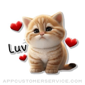 Cute Brown Tabby Cat Stickers Customer Service