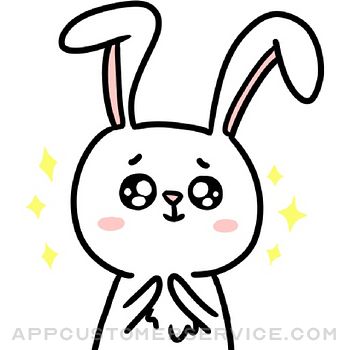 Hello Bunny Customer Service