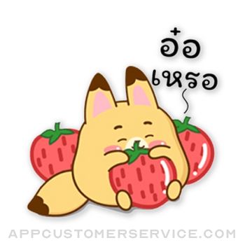 Little Mizu Fox Stickers Customer Service