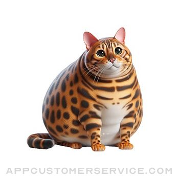 Fat Bengal Cat Stickers Customer Service
