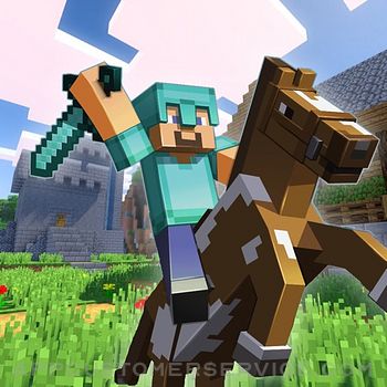 Codes & Seeds for Minecraft Customer Service