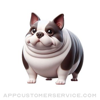 Download Fat Boston Terrier Stickers App