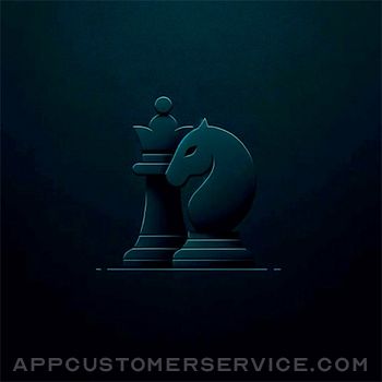 Chess Clock - Pro Customer Service