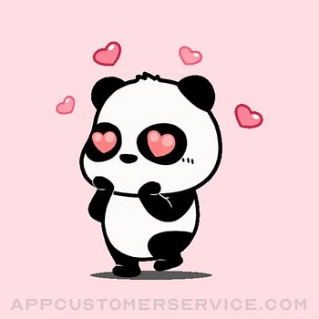 Crazy Panda Sticker- WASticker Customer Service