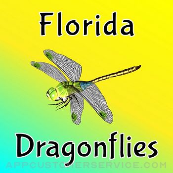 Florida Dragonflies Customer Service