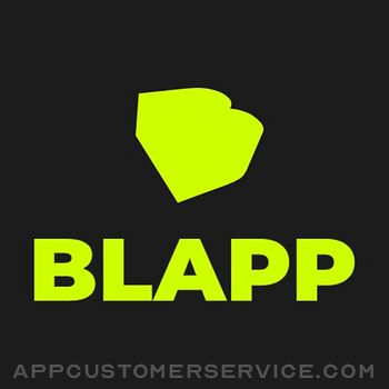 BLAPP Dashboard Customer Service