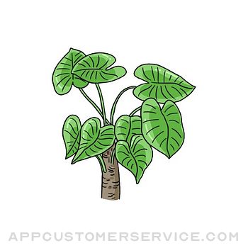 Beautiful leaf painting Customer Service