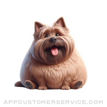 Fat Cairn Terrier Stickers Customer Service