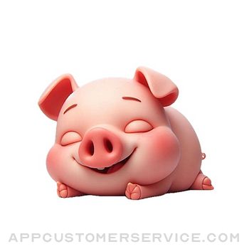 Sleeping Piglet Stickers Customer Service