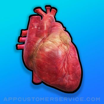 Anatomy Heart Customer Service