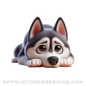 Sad Husky Stickers Customer Service