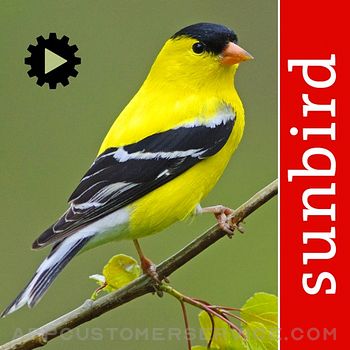 Bird Song Id USA songs & calls Customer Service