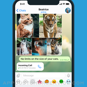 Telegram Messenger iphone image 4