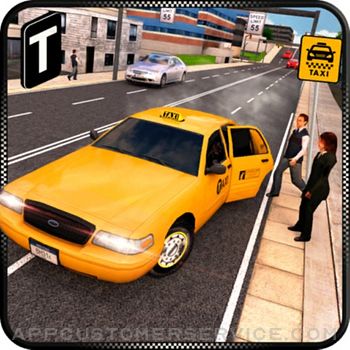 Taxi Driver 3D Customer Service