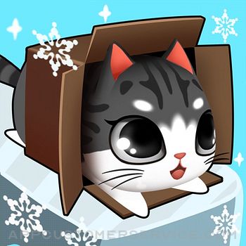 Kitty in the Box Customer Service